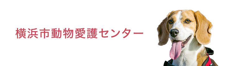 横浜市動物愛護センター