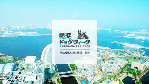 横浜ドッグウィーク「犬にやさしい街、横浜、宣言」