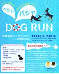 横浜港シンボルタワーにて水遊びドッグラン初開催!