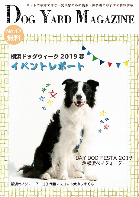 2019年6月発行　第12号