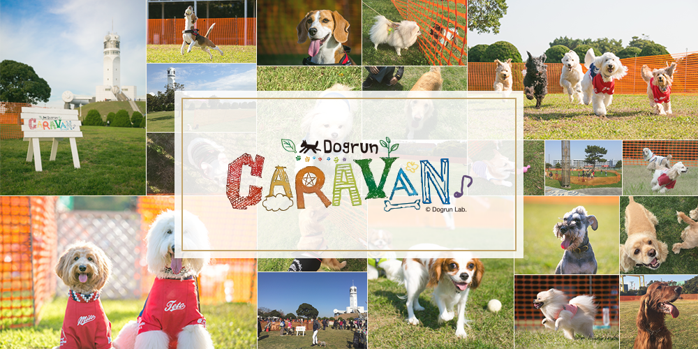 dogrun CARAVAN